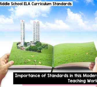 Importance of standards in the modern teaching world
